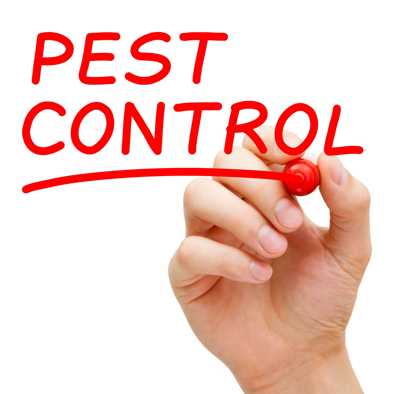 average-price-for-pest-control-service-the-national-average-cost-of